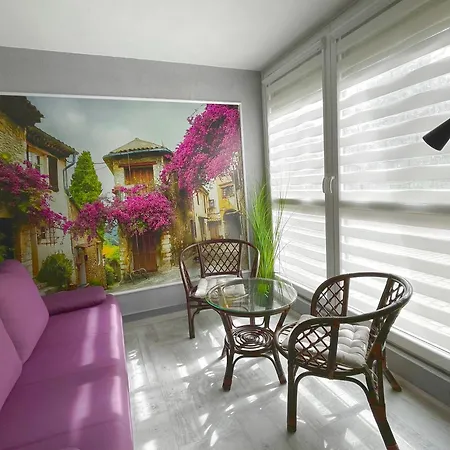 Home3city Violet *